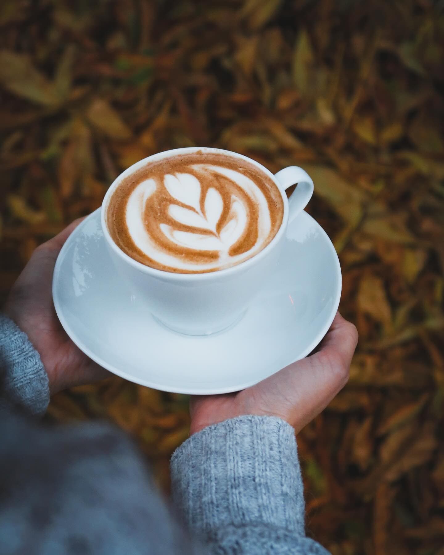 Café Morgal — fotografie 9